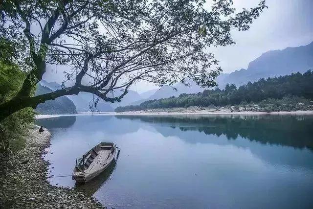 丰山集团涨停