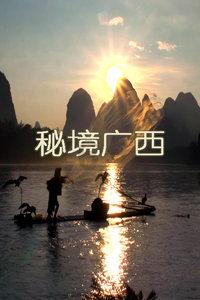 骆明谈国足：换帅面临人选经费时间仨问题，已归化的球员别再浪费